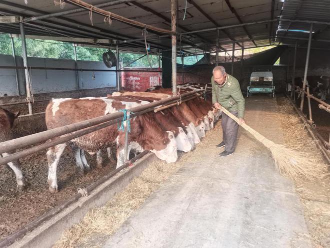 “三倌”老孫頭的養殖致富經