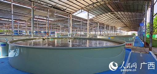 畜牧漁業飼料銷售 市場現狀與未來展望