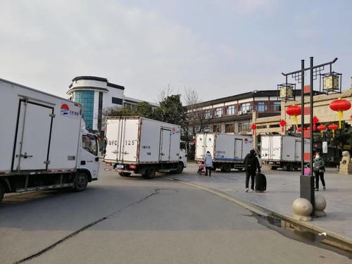 從田間到餐桌，三港公司年貨配送實現全鏈條服務，供需兩旺彰顯城市配送新活力
